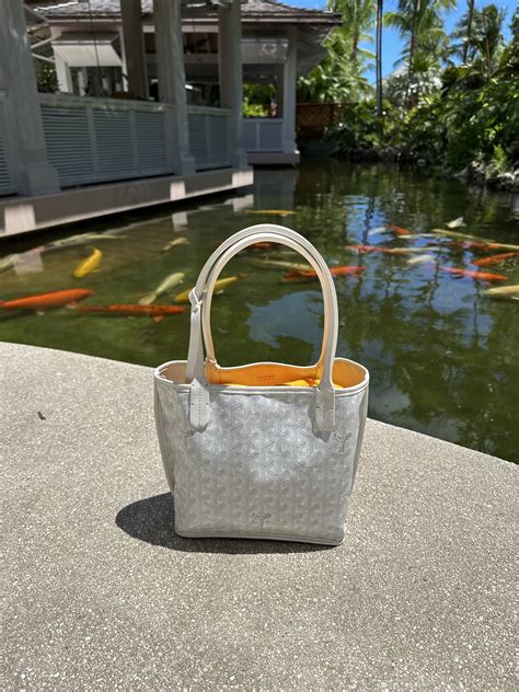 goyard anjou mini price 2023